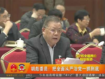 胡彪委员：把全面从严治党一抓到底