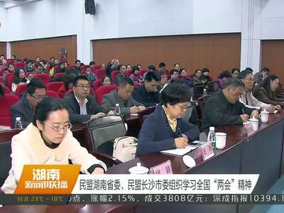 民盟湖南省委、民盟长沙市委组织学习全国“两会”精神