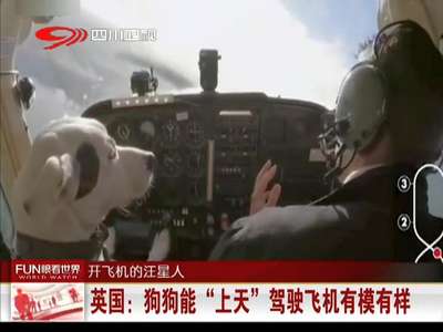 [视频]汪星人也能开飞机？英国专家让你见识狗狗的超凡能力