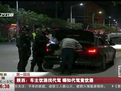 [视频]陕西：车主饮酒找代驾 哪知代驾竟饮酒
