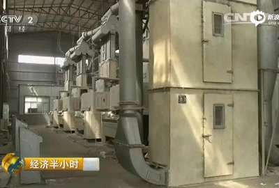 [视频]央视曝棉农生存困境：辛苦大半年一亩地赔400元