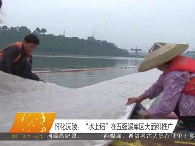 怀化沅陵：“水上稻”在五强溪库区大面积推广