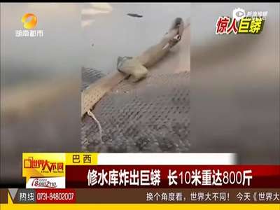 [视频]实拍巴西水库炸出巨蟒 长10米重800斤