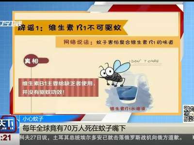 [视频]小心蚊子：每年全球竟有70万人死在蚊子嘴下