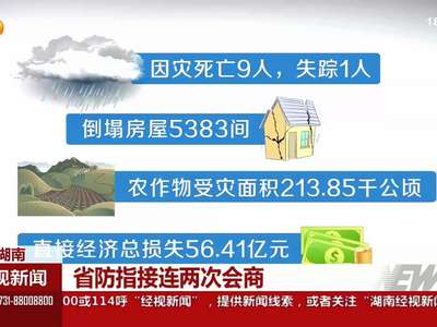 从资水保卫战到决战洞庭湖