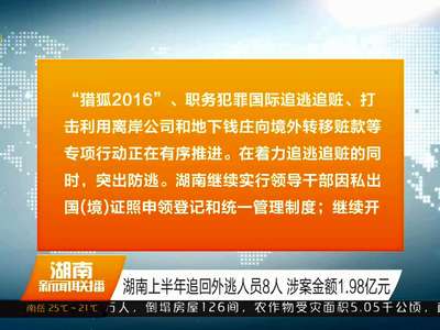 湖南上半年追回外逃人员8人 涉案金额1.98亿元