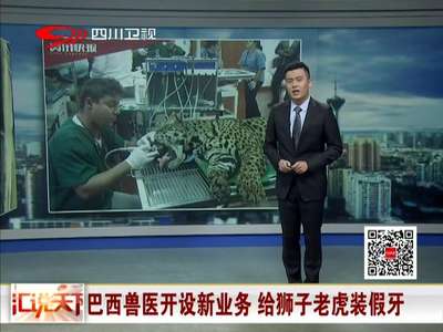 [视频]巴西兽医开设新业务 给狮子老虎装假牙