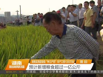 湖南实施超级稻“种三产四”丰产工程1300万亩 预计新增粮食超过一亿公斤