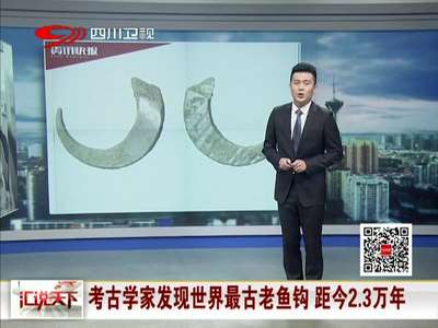 [视频]考古学家发现世界最古老鱼钩 距今2.3万年