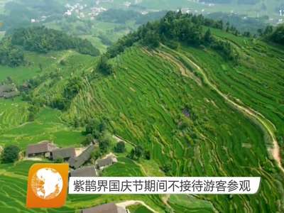 紫鹊界国庆节期间不接待游客参观