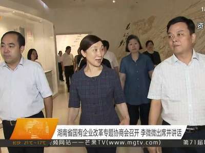 湖南省国有企业改革专题协商会召开 李微微出席并讲话