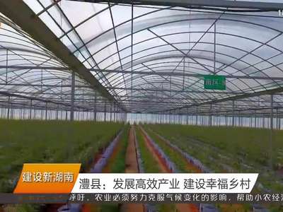 澧县：发展高效产业 建设幸福乡村