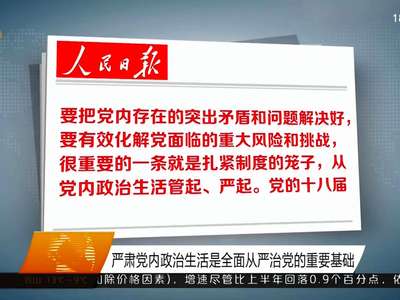 严肃党内政治生活是全面从严治党的重要基础