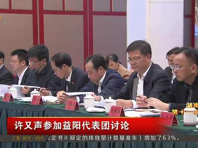 许又声参加益阳代表团讨论