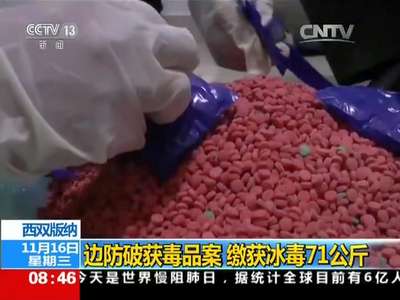 [视频]西双版纳：边防破获毒品案 缴获冰毒71公斤