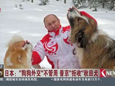 [视频]日本：“狗狗外交”不管用 普京“拒收”秋田犬