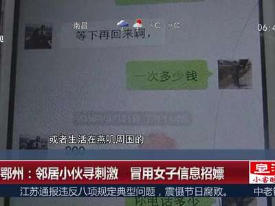 [视频]湖北鄂州：邻居小伙寻刺激 冒用女子信息招嫖