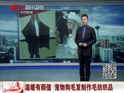 [视频]温暖有颜值 宠物狗毛发制作毛纺织品