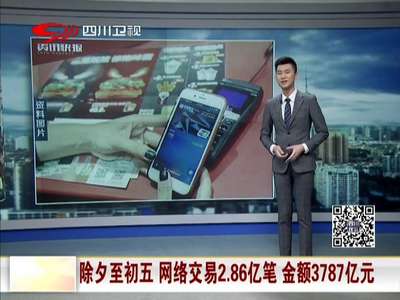 [视频]除夕至初五 网络交易2.86亿笔 金额3787亿元