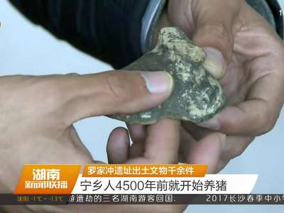 罗家冲遗址出土文物千余件 宁乡人4500年前就开始养猪