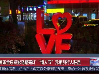 [视频]上海首条全息投影马路亮灯 情人节元素引行人驻足