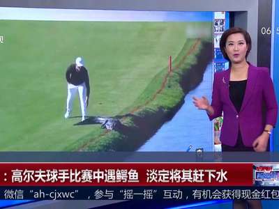 [视频]美国：高尔夫球手比赛中遇鳄鱼 淡定将其赶下水