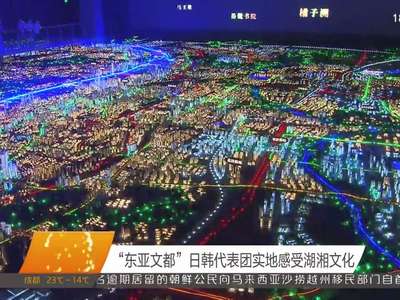 “东亚文都”日韩代表团实地感受湖湘文化