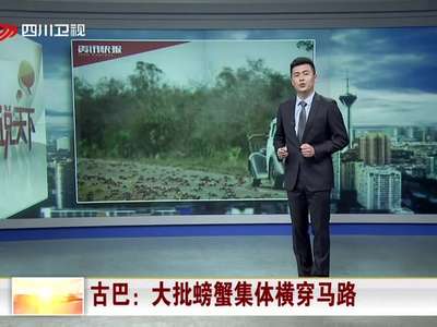 [视频]古巴：大批螃蟹集体横穿马路