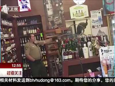 [视频]孔雀大闹售酒商店 500美元美酒成牺牲品