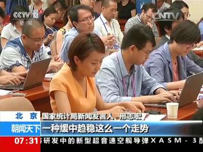 [视频]国家统计局：上半年房地产投资增速略放缓
