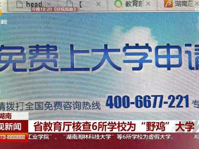 湖南省教育厅核查6所学校为“野鸡”大学