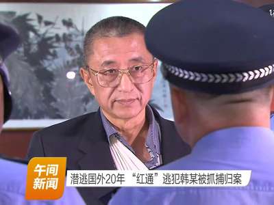 潜逃国外20年 “红通”逃犯韩某被抓捕归案