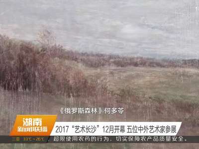 2017“艺术长沙”12月开幕 五位中外艺术家参展