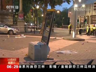 [视频]英国：伦敦热门景区汽车撞人 11人受伤