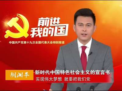 胡湘平：新时代中国特色社会主义的宣言书