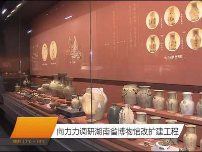 向力力调研湖南省博物馆改扩建工程