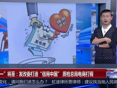 [视频]“双十一”将至：发改委打造“信用中国” 质检总局电商打假