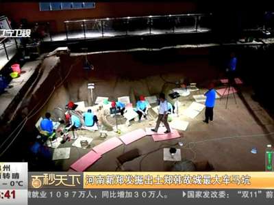 [视频]河南新郑发掘出土郑韩故城最大车马坑