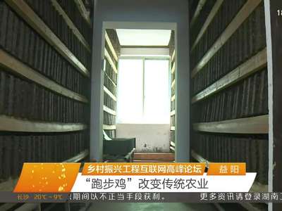 益阳：乡村振兴工程互联网高峰论坛 “跑步鸡”改变传统农业