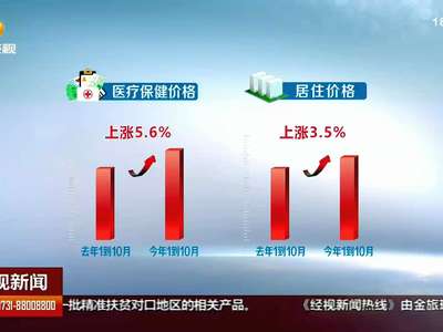 1到10月：肉价下跌医疗保健价格上涨 相互有所抵消