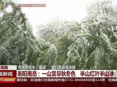 东北有雪乡”童话“ 我们有雾凇冰挂