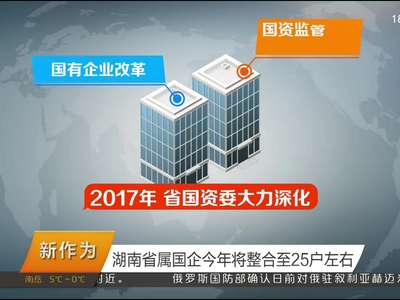 新时代 新气象 新作为:湖南省属国企今年将整合至25户左右