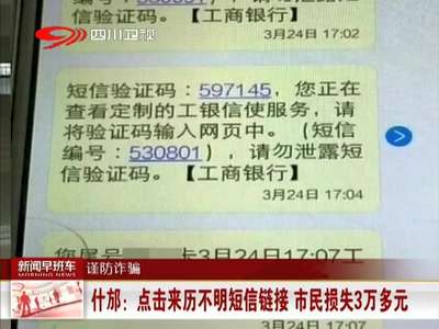 [视频]点击来历不明短信链接 市民损失3万多元