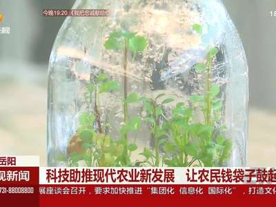 科技助推现代农业新发展 让农民钱袋子鼓起来