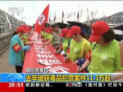 [视频]国际禁毒日：去年破获毒品犯罪案件11.3万起