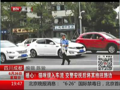 [视频]暖心！ 猫咪误入车流 交警安抚后将其抱往路边