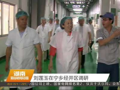 刘莲玉在宁乡经开区调研