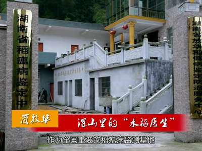 肖放华：深山里的“水稻医生”