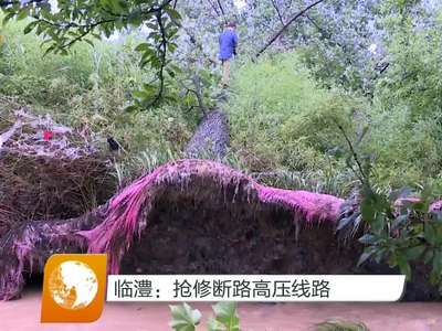 临澧：抢修断路高压线路