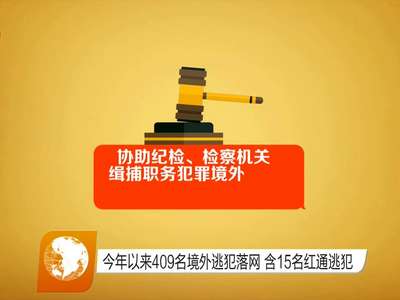 今年以来409名境外逃犯落网 含15名红通逃犯